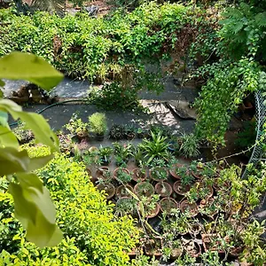 Gloria ,thrissur Homestay